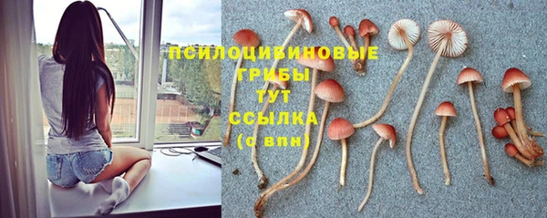 бутират Арсеньев