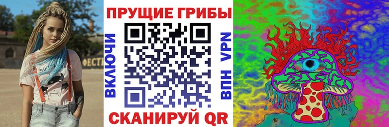Купить где  Углич  Псилоцибиновые грибы Magic Shrooms 