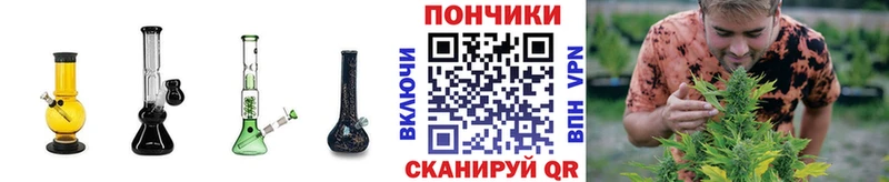 Бошки Шишки VHQ  Купить закладки  Углич 